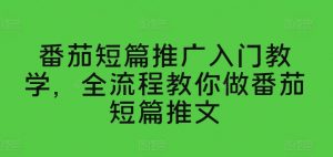 番茄短篇推广入门教学，全流程教你做番茄短篇推文-虚拟资源库