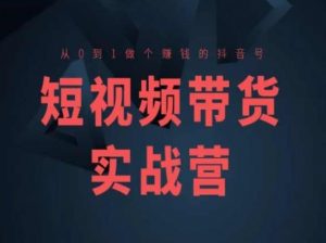 短视频带货实战营(高阶课),从0到1做个赚钱的抖音号-虚拟资源库