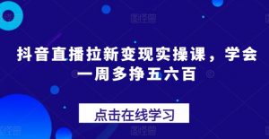 抖音直播拉新变现实操课，学会一周多挣五六百-虚拟资源库