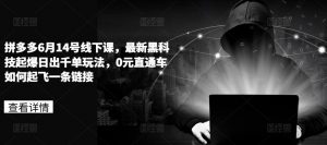 拼多多6月14号线下课，最新黑科技起爆日出千单玩法，0元直通车如何起飞一条链接-虚拟资源库