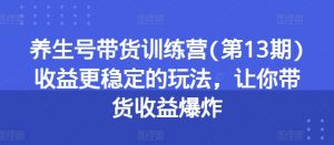 养生号带货训练营(第13期)收益更稳定的玩法,让你带货收益爆炸-虚拟资源库