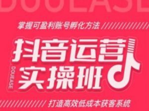 抖音运营实操班，掌握可盈利账号孵化方法，打造高效低成本获客系统-虚拟资源库
