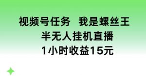 视频号任务，我是螺丝王， 半无人挂机1小时收益15元【揭秘】-虚拟资源库