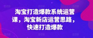 淘宝打造爆款系统运营课，淘宝新店运营思路，快速打造爆款-虚拟资源库
