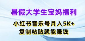 暑假大学生宝妈福利，小红书音乐号月入5000+，复制粘贴就能赚钱【揭秘】-虚拟资源库