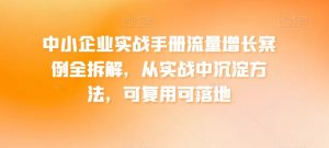 中小企业实战手册流量增长案例全拆解，从实战中沉淀方法，可复用可落地-虚拟资源库