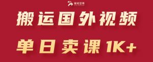 搬运国外视频，引流创业粉，单日卖课1K+【揭秘】-虚拟资源库