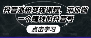 抖音涨粉变现课程,带你做一个赚钱的抖音号-虚拟资源库
