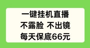 一键挂JI直播，不露脸不出境，每天保底66元【揭秘】-虚拟资源库