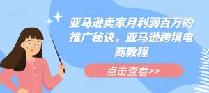 亚马逊卖家月利润百万的推广秘诀，亚马逊跨境电商教程-虚拟资源库