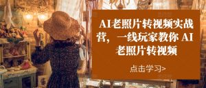 AI老照片转视频实战营，一线玩家教你AI老照片转视频-虚拟资源库