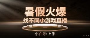 暑假火爆找不同小游戏直播间，小白秒上手【揭秘】-虚拟资源库