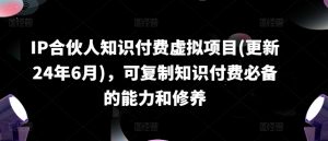 IP合伙人知识付费虚拟项目(更新24年6月)，可复制知识付费必备的能力和修养-虚拟资源库