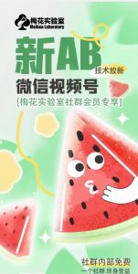 梅花实验室2024年AB技术视频号AB合成破解版-虚拟资源库