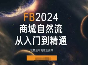 2024Faceboo商城自然流(从入门到精通),玩转脸书商城全闭环-虚拟资源库