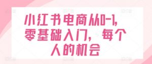 小红书电商从0-1，零基础入门，每个人的机会-虚拟资源库