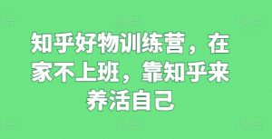 知乎好物训练营，在家不上班，靠知乎来养活自己-虚拟资源库