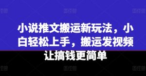 小说推文搬运新玩法，小白轻松上手，搬运发视频让搞钱更简单-虚拟资源库