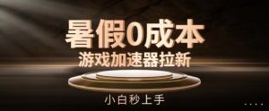 暑假0成本游戏加速器拉新,小白秒上手,无需投资【揭秘】-虚拟资源库