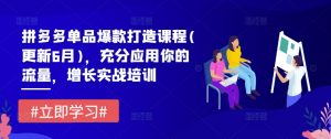 拼多多单品爆款打造课程(更新6月)，充分应用你的流量，增长实战培训-虚拟资源库