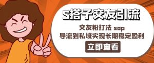 某收费888-S搭子交友引流，交友粉打法 sop，导流到私域实现长期稳定盈利-虚拟资源库