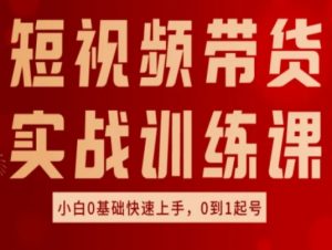 短视频带货实战训练课,好物分享实操,小白0基础快速上手,0到1起号-虚拟资源库