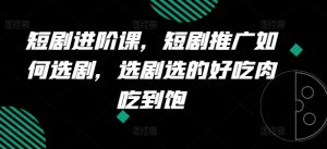 短剧进阶课，短剧推广如何选剧，选剧选的好吃肉吃到饱-虚拟资源库