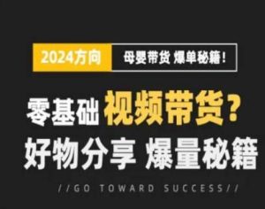 短视频母婴赛道实操流量训练营，零基础视频带货，好物分享，爆量秘籍-虚拟资源库