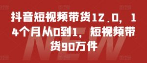 抖音短视频带货12.0,14个月从0到1,短视频带货90万件-虚拟资源库