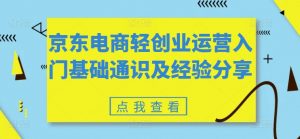 京东电商轻创业运营入门基础通识及经验分享-虚拟资源库
