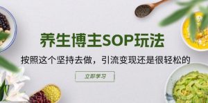 养生博主SOP玩法，按照这个坚持去做，引流变现还是很轻松的-虚拟资源库