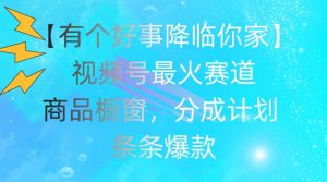 【有个好事降临你家】视频号爆火赛道,商品橱窗,分成计划,条条爆款【揭秘】-虚拟资源库