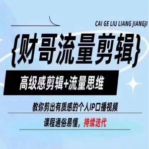 财哥流量剪辑，高级感剪辑+流量思维，教你剪出有质感的个人IP口播视频-虚拟资源库