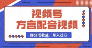 利用方言配音视频，赚视频号分成计划收益，操作简单，还有千粉号额外变现，每月多赚几千块钱【揭秘】-虚拟资源库