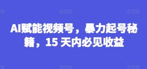 AI赋能视频号，暴力起号秘籍，15 天内必见收益【揭秘】-虚拟资源库
