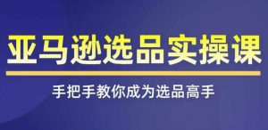 亚马逊选品实操课程，快速掌握亚马逊选品的技巧，覆盖亚马逊选品所有渠道-虚拟资源库