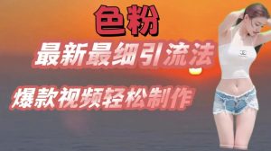 se粉最新最细引流法，七天螺旋起号法，爆款视频轻松制作【揭秘】-虚拟资源库