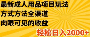 最新成人用品项目玩法，方式方法全渠道，轻松日入2K+【揭秘】-虚拟资源库