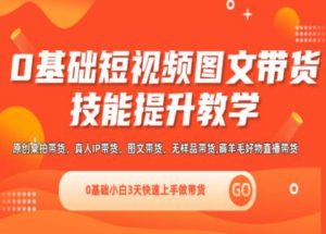 0基础短视频图文带货实操技能提升教学(直播课+视频课),0基础小白3天快速上手做带货-虚拟资源库