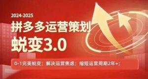2024-2025拼多多运营策略蜕变3.0，0~1完美蜕变，解决信息焦虑-虚拟资源库