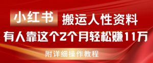 小红书搬运人性资料，有人靠这个2个月轻松赚11w，附教程【揭秘】-虚拟资源库