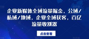 企业新媒体全域流量掘金，公域/私域/地域，企业全域获客，百亿流量收割器-虚拟资源库
