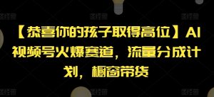 【恭喜你的孩子取得高位】AI视频号火爆赛道，流量分成计划，橱窗带货【揭秘】-虚拟资源库