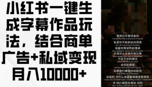 小红书一键生成字幕作品玩法，结合商单广告+私域变现月入1w+【揭秘】-虚拟资源库