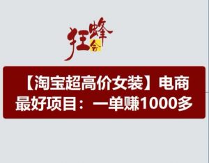 淘宝超高价女装项目，电商最好赛道，一单赚1000多-虚拟资源库