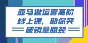亚马逊运营高阶线上课，助你突破销量瓶颈-虚拟资源库