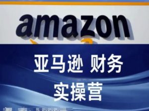 亚马逊财务核算实操营-亚马逊跨境电商教程-虚拟资源库