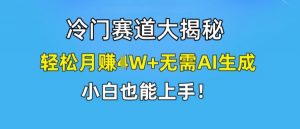冷门赛道大揭秘，轻松月赚1W+无需AI生成，小白也能上手【揭秘】-虚拟资源库