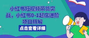 小红书短视频带货实战，小红书0-1起店进阶项目拆解-虚拟资源库