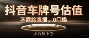 抖音车牌号估值，不露脸直播，0门槛，小白秒上手【揭秘】-虚拟资源库